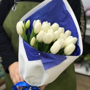 Белые тюльпаны 23 шт. [артикул букета  320067rya]