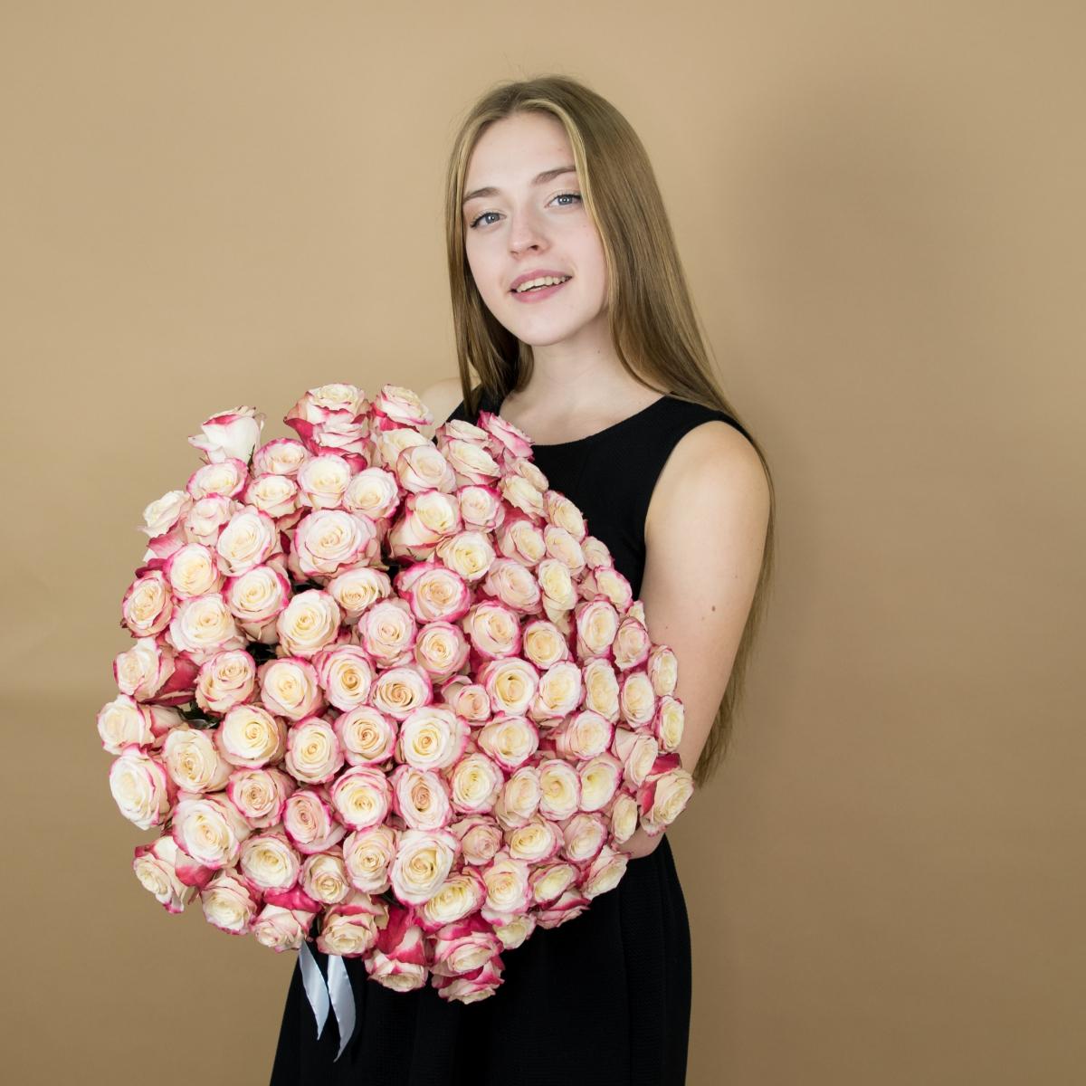 Розы красно-белые (40 см) Эквадор артикул букета: 477