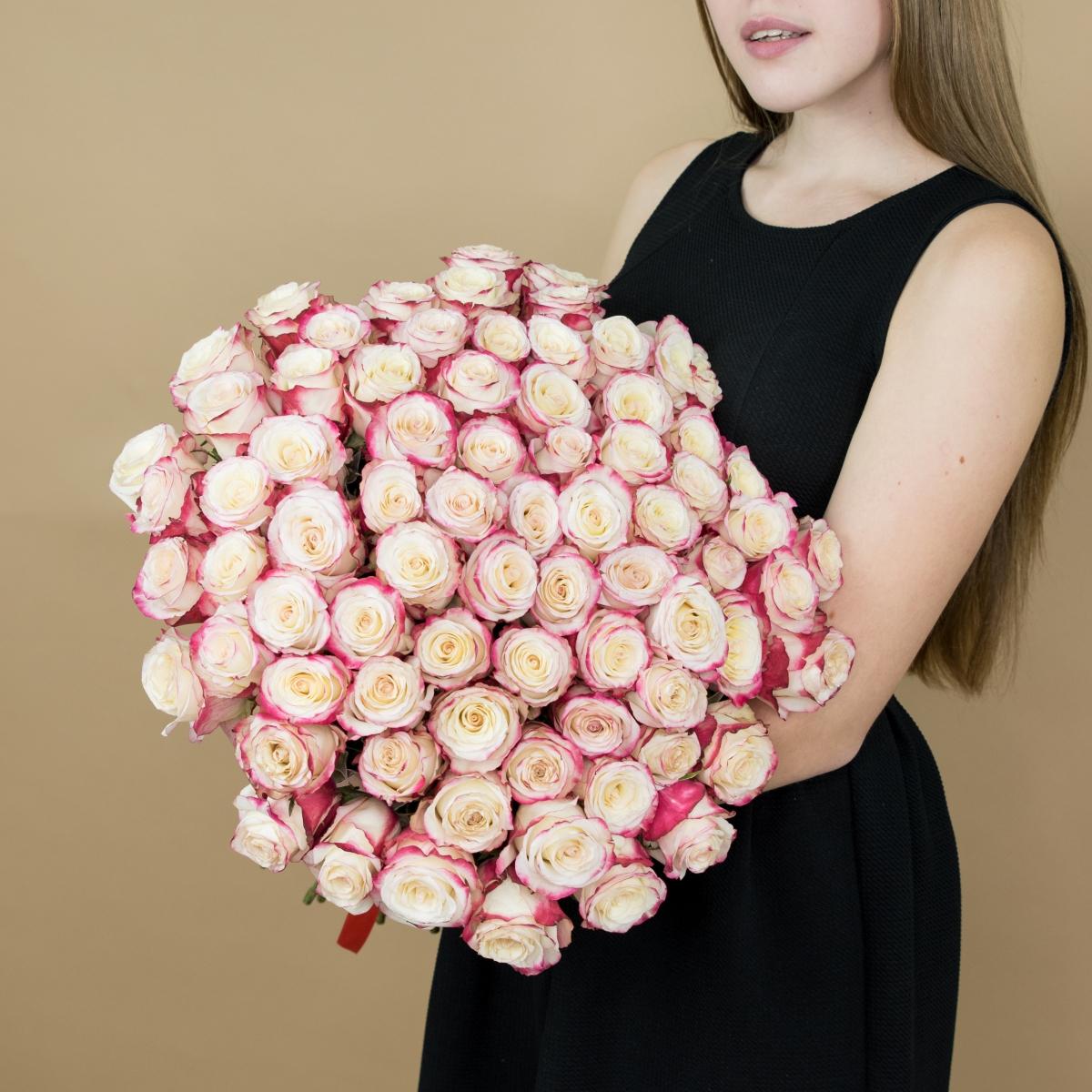 Розы красно-белые (40 см) Эквадор артикул букета: 477
