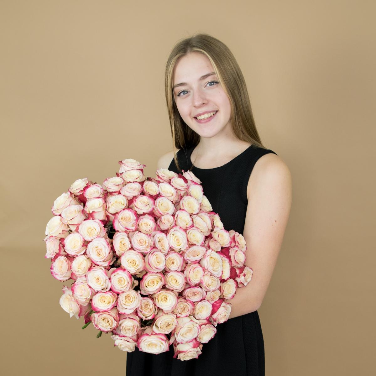 Розы красно-белые 75 шт 40 см (Эквадор) код товара: 84747