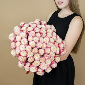 Розы красно-белые 75 шт 40 см (Эквадор) код товара: 84747