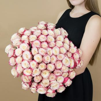 Розы красно-белые 101 шт. (40 см) (Артикул: 84906rzn)