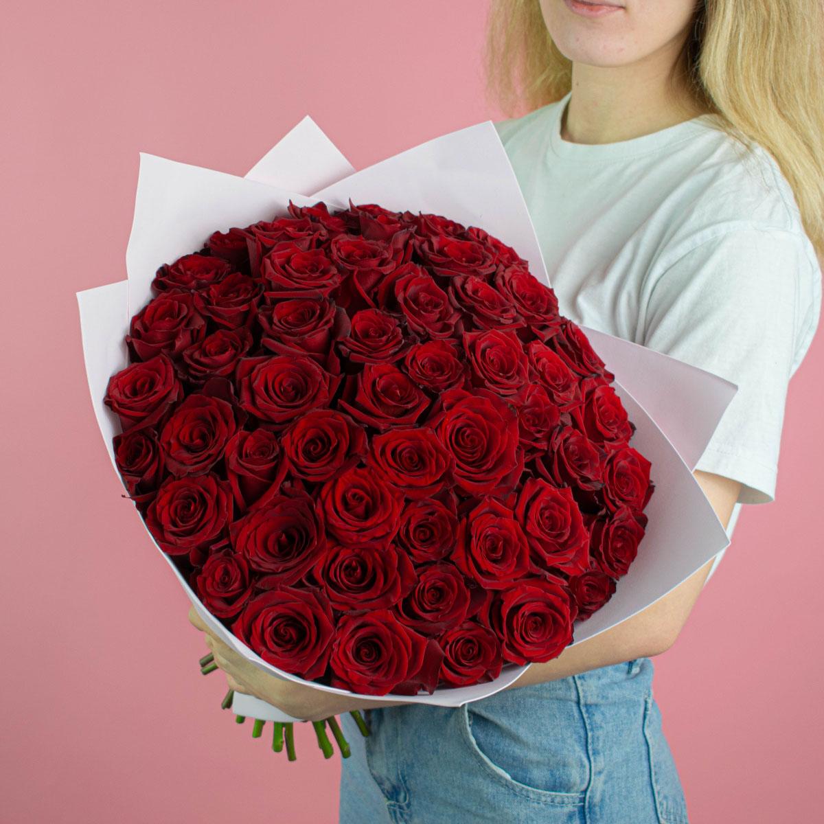 Розы Эквадор 40 см (Красный)