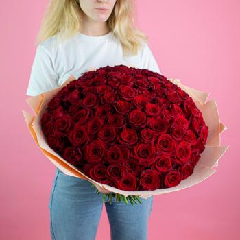 Розы Эквадор 40 см (Красные)