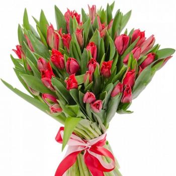 Красные тюльпаны 25 шт articul: 138330rya